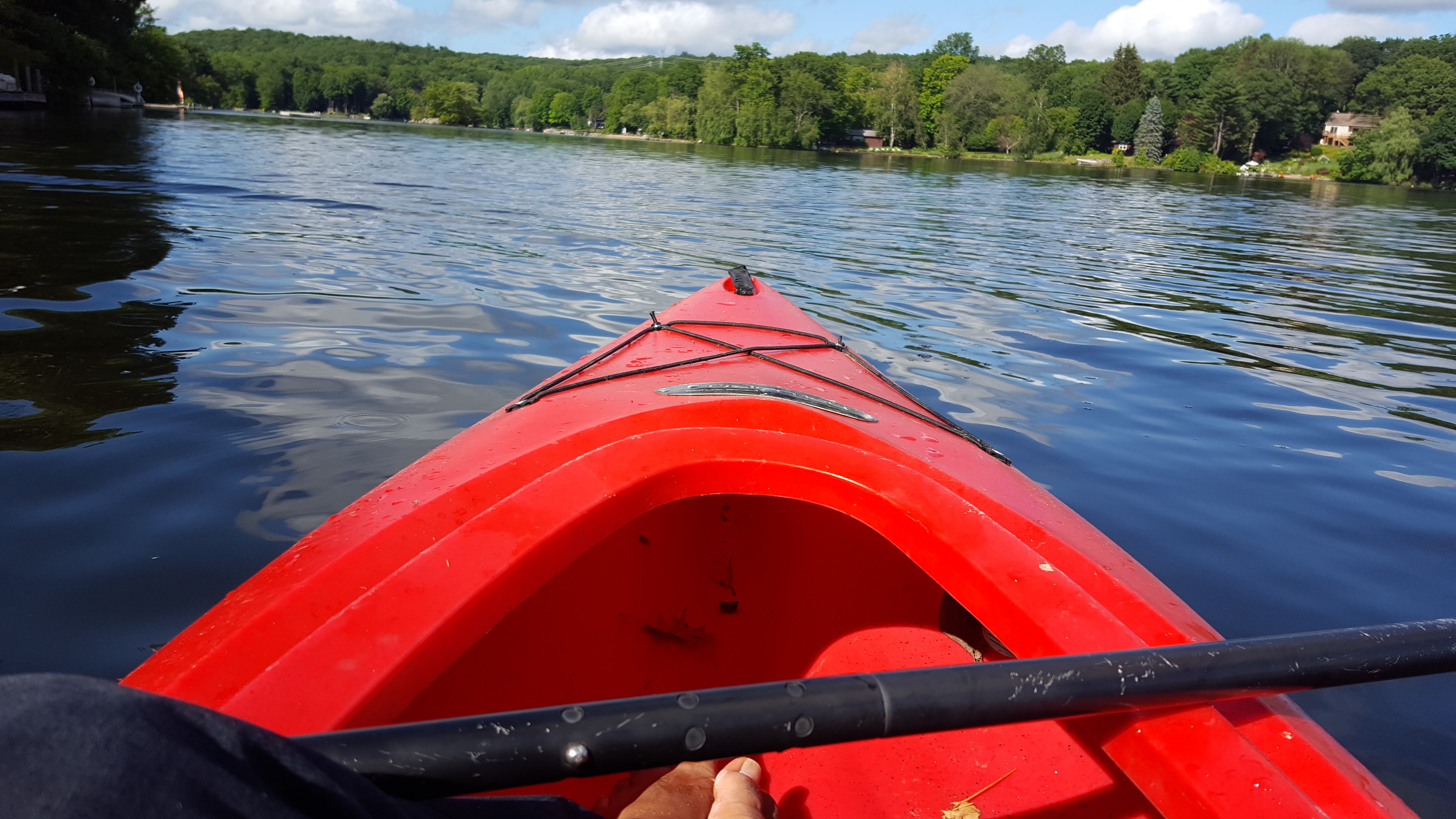 Peaceful paddle on calm waters