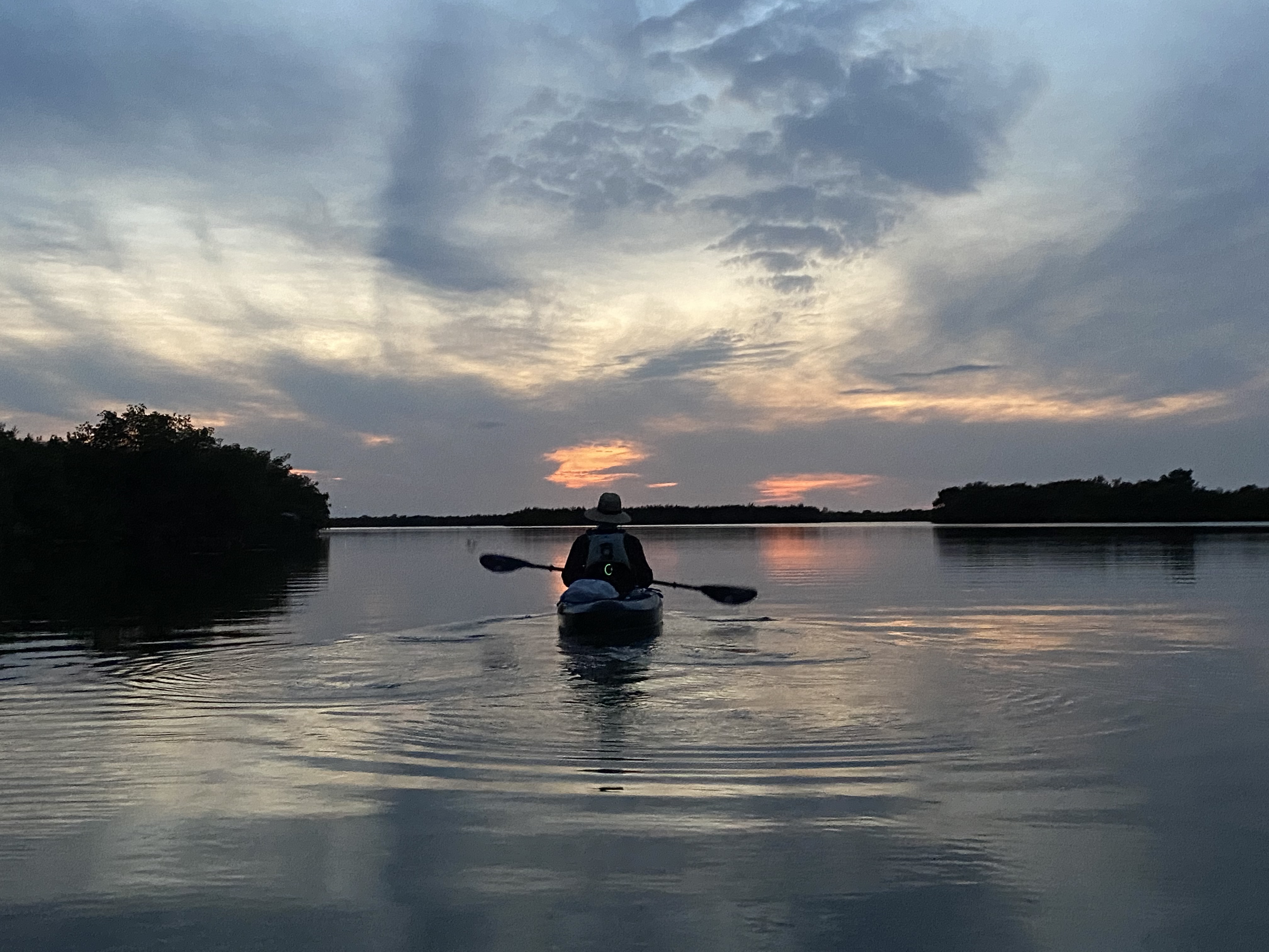 Navigating through Florida mangroves