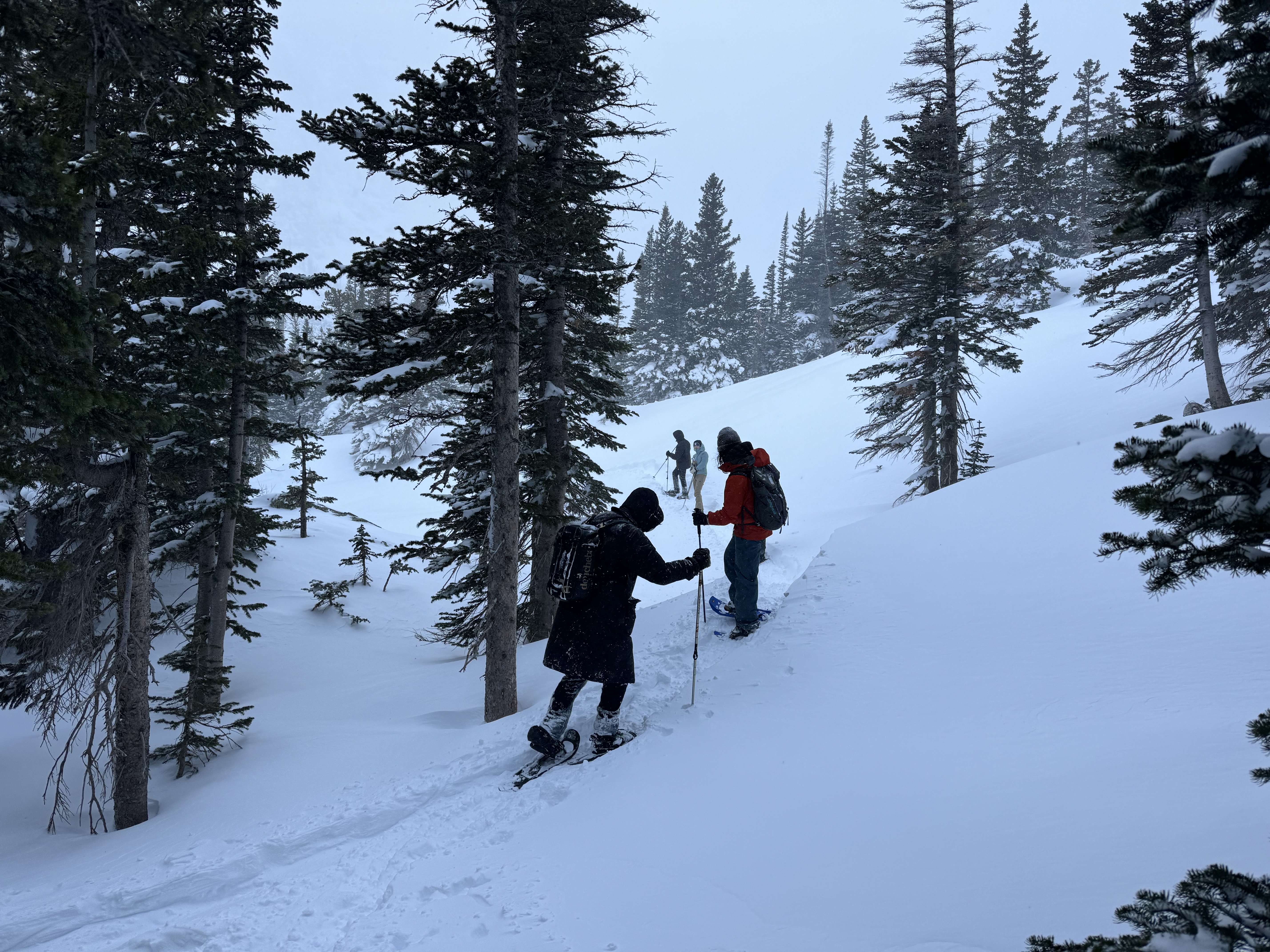 Snowshoeing in the Rockies