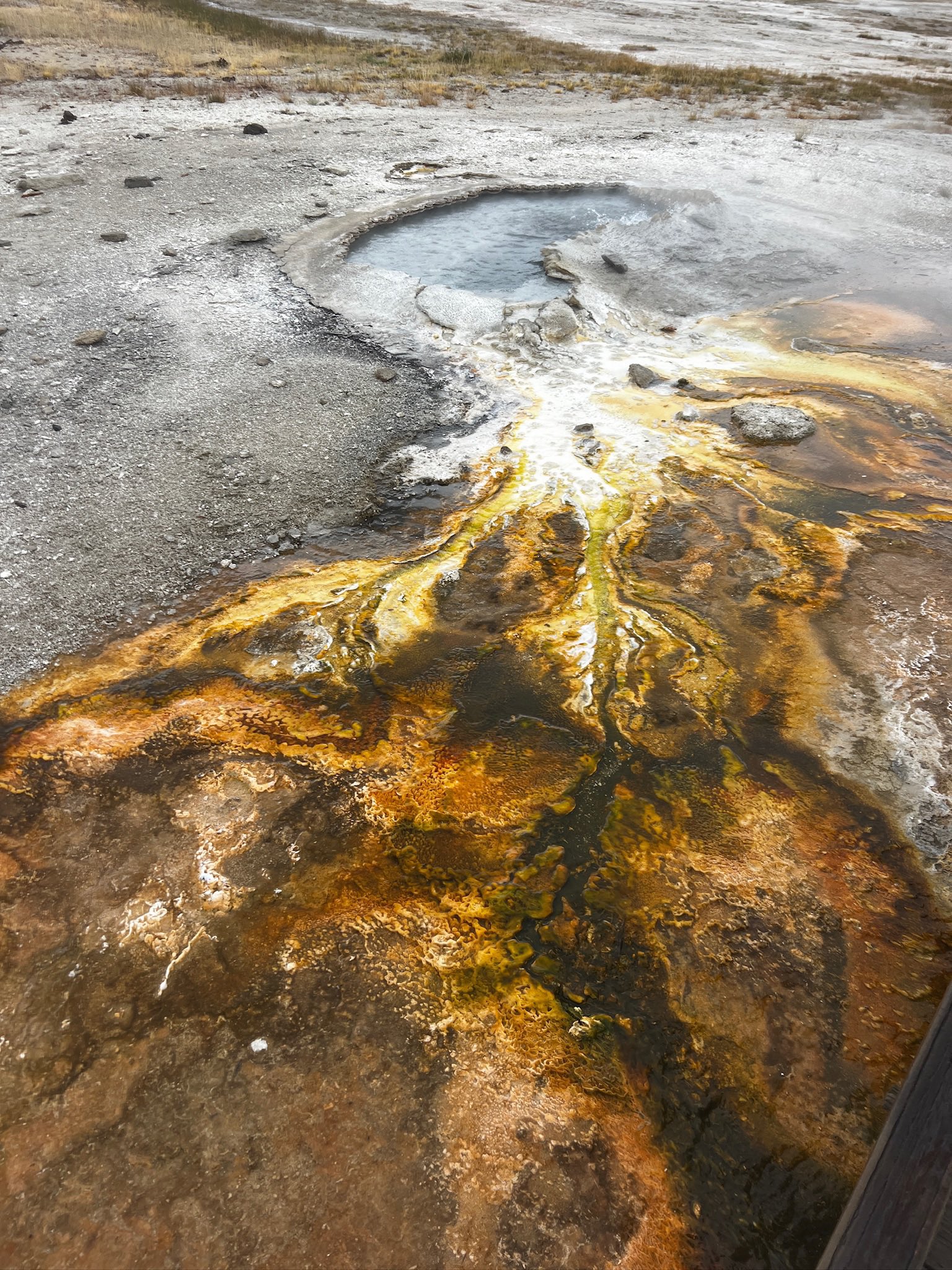 Thermal features, Yellowstone