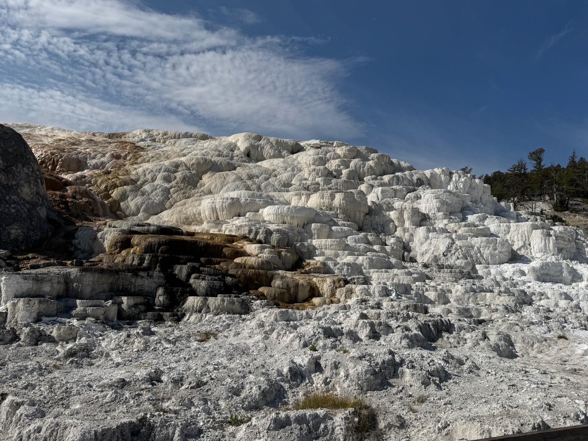 Mammoth Hot Springs