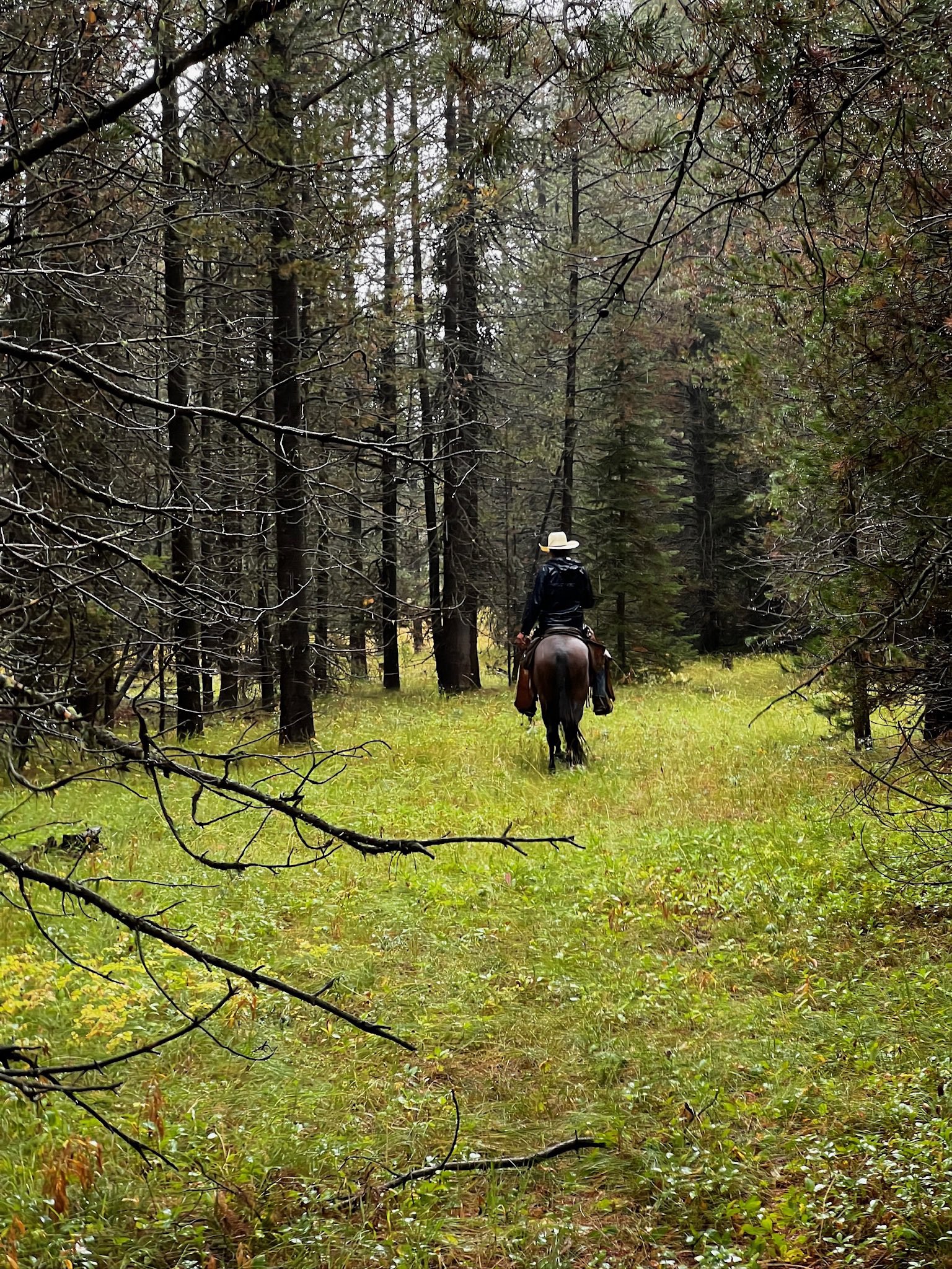 Adventure photo