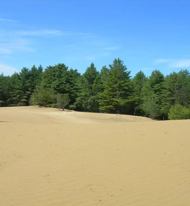 Illustration for fact 476