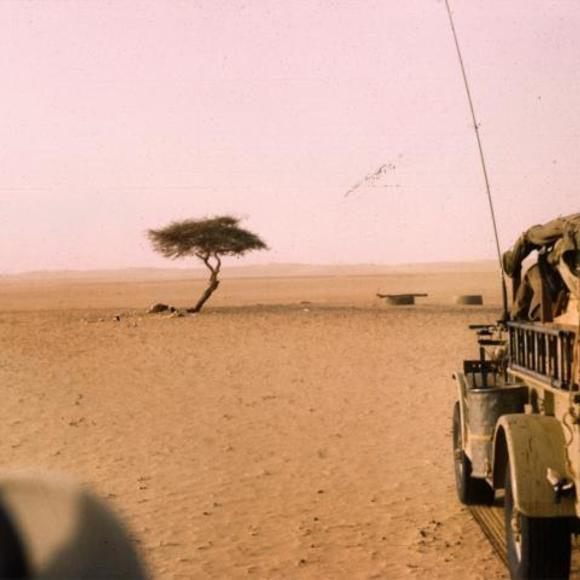 Illustration for fact 553