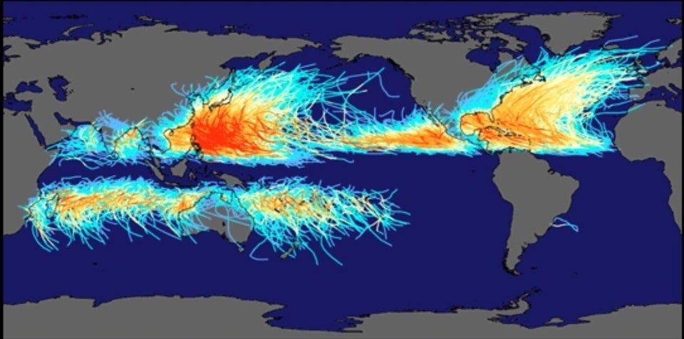 Illustration for fact 645